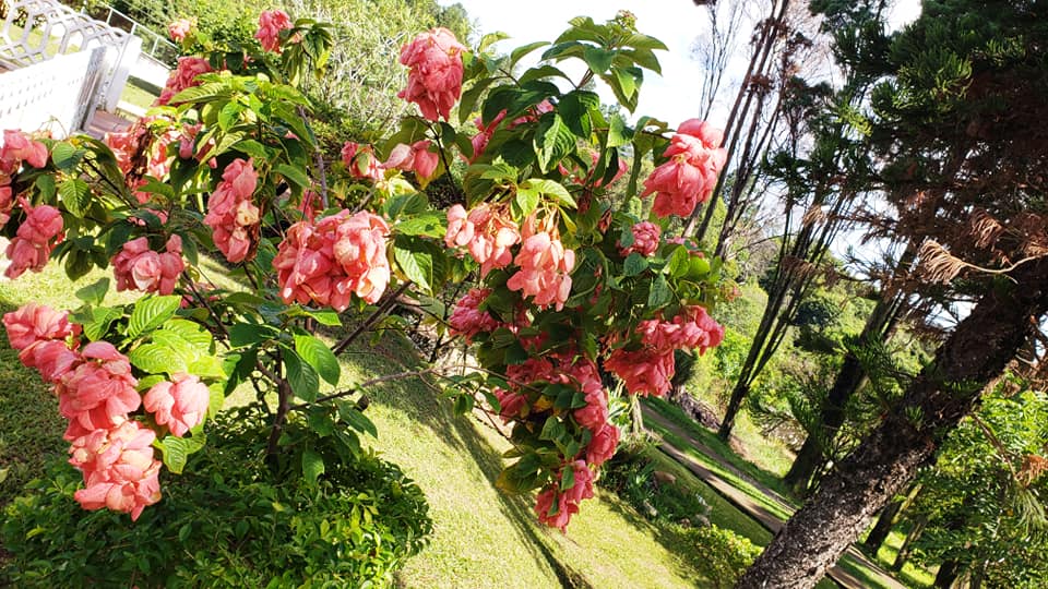 ChoppRampim ChoppRampim