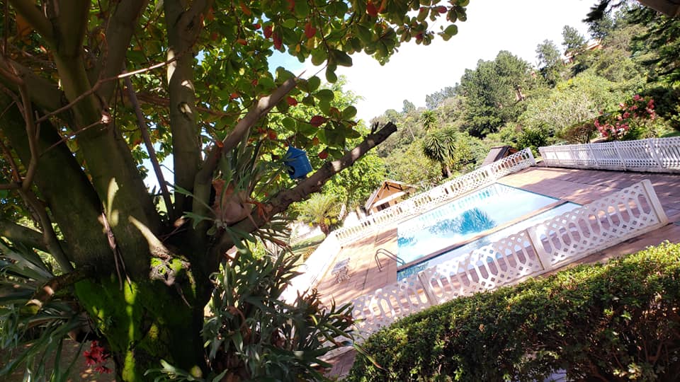 ChoppRampim ChoppRampim